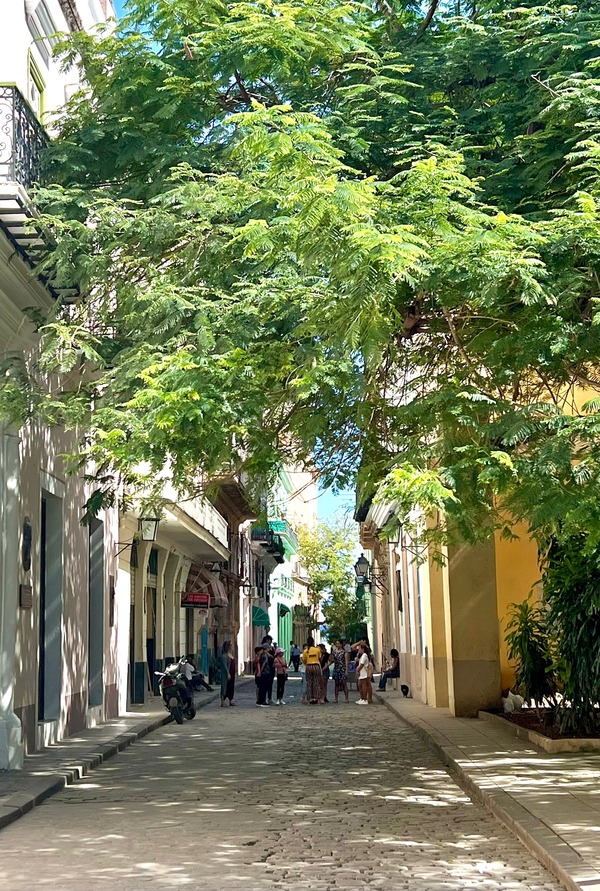 Havana Street